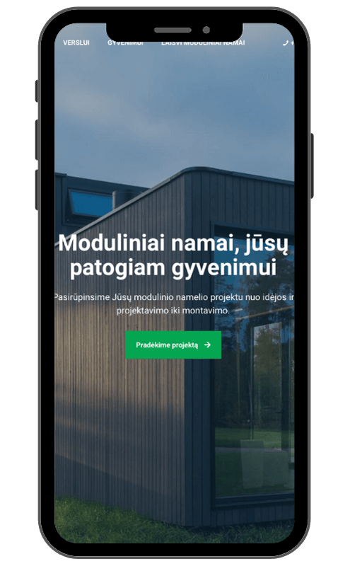 Web development for startups Vilnius